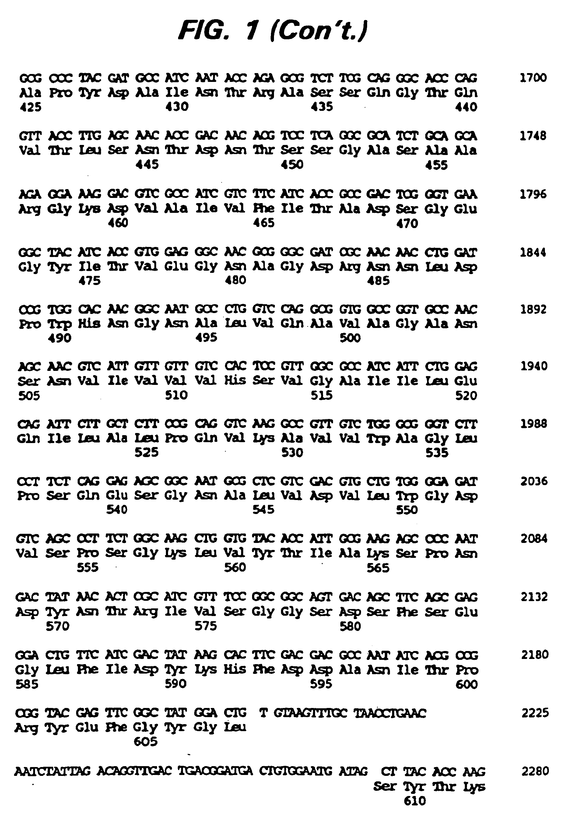 improved saccharification of cellulose by cloning and