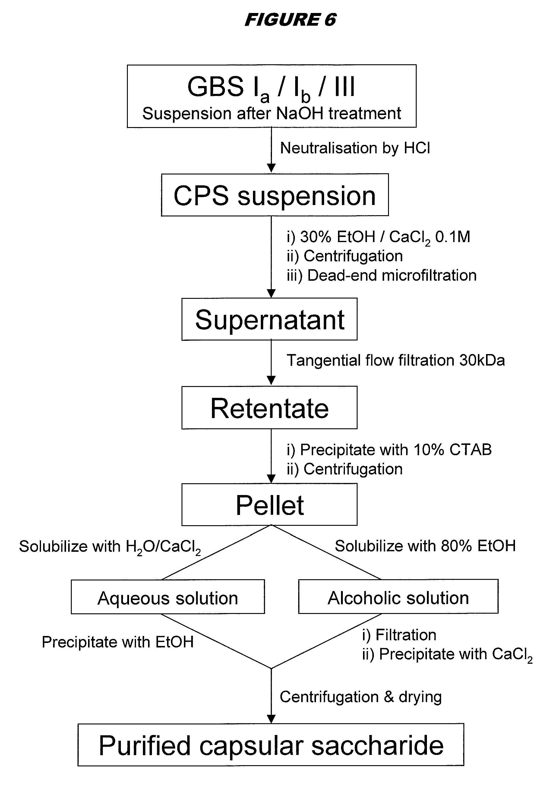 purification of streptococcal capsular polysaccharide