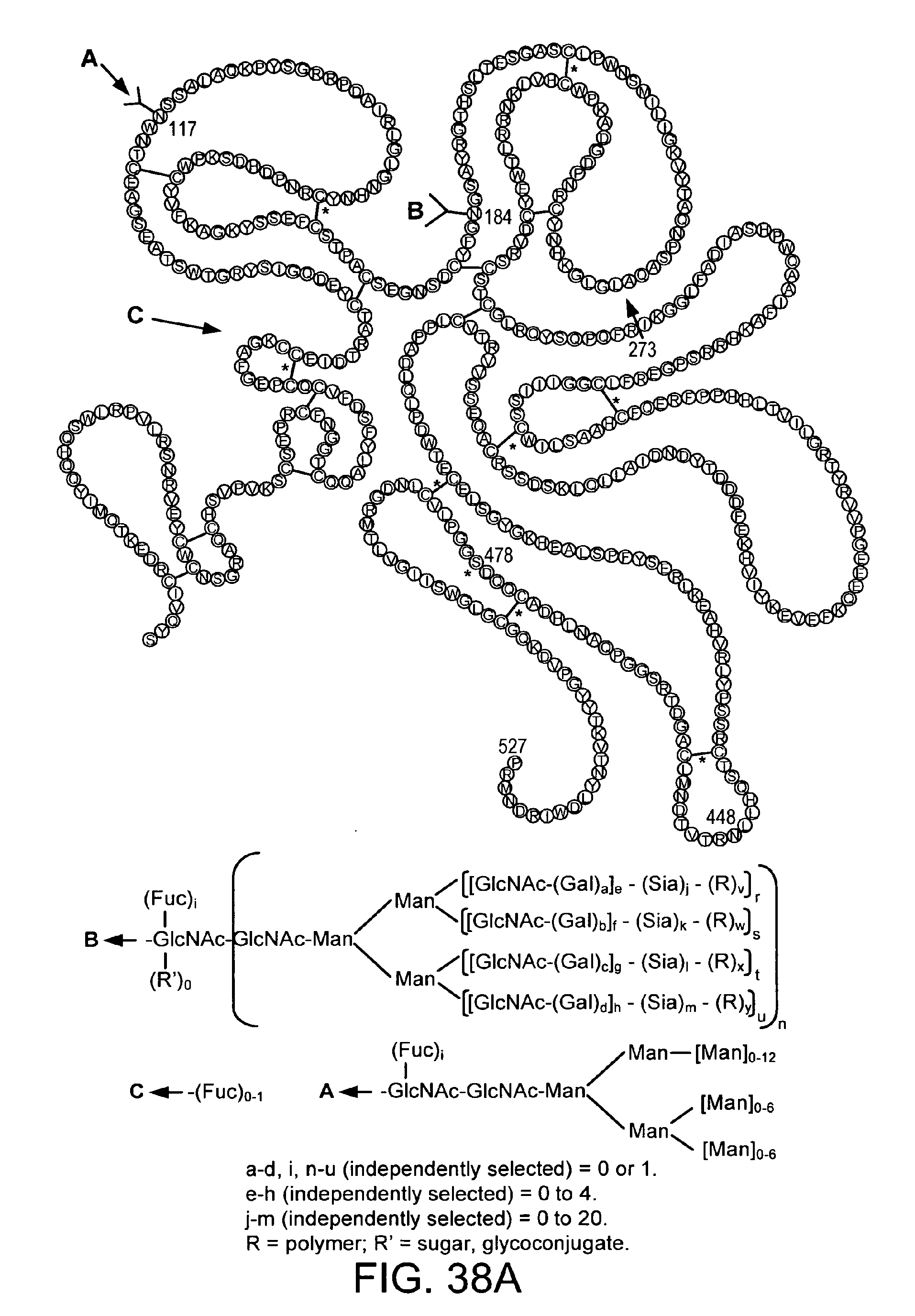 remodelling and glycoconjugation of an antibody