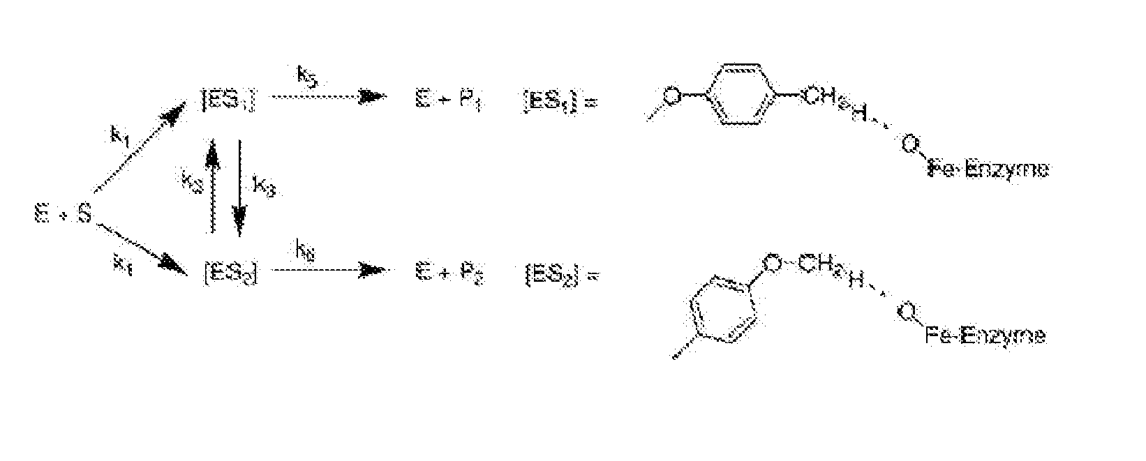 Patent Ep2354987a2 Method For Predicting Activation Energy Using Figure Imgb0090