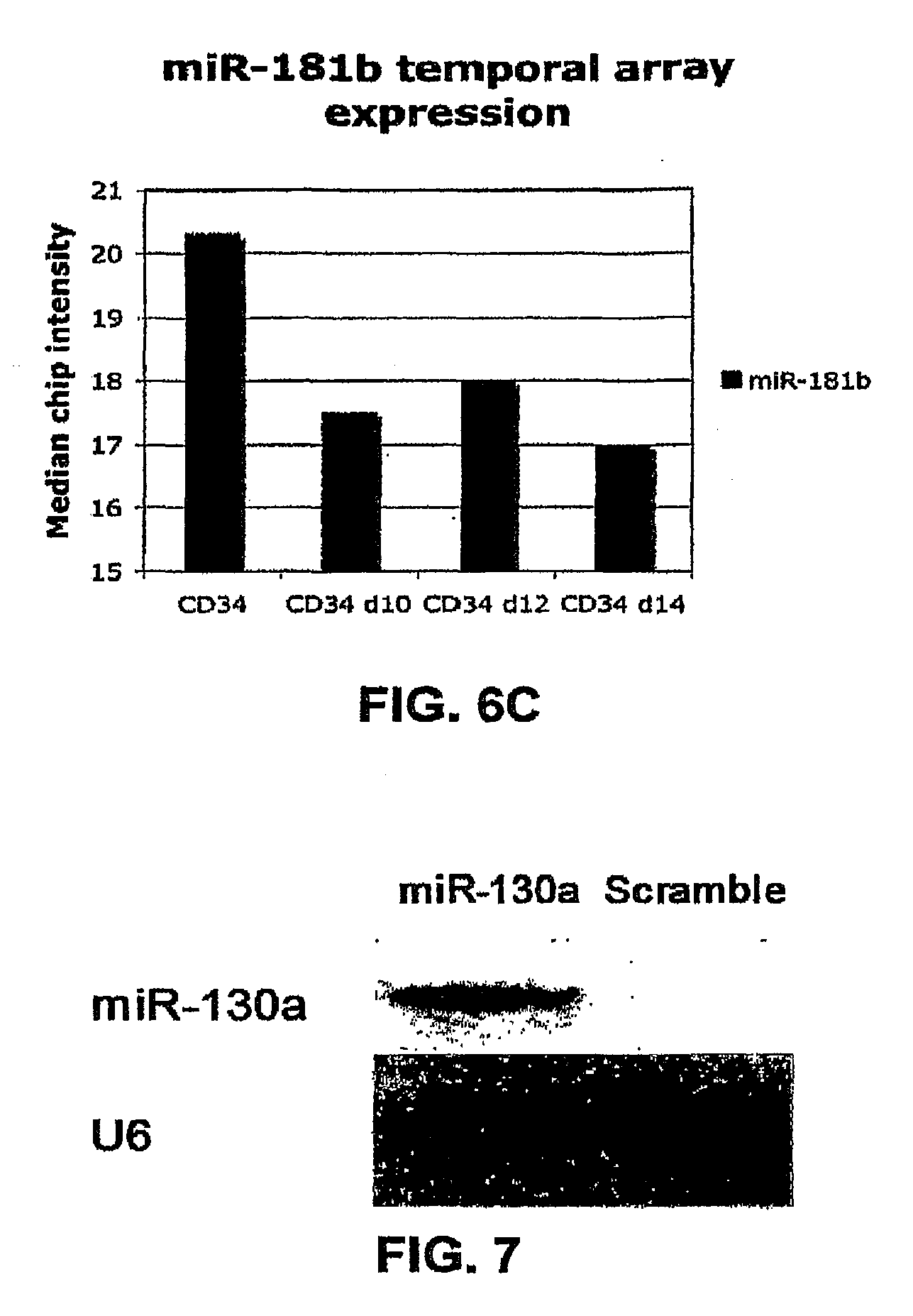 microrna fingerprints during human megakaryocytopoiesis