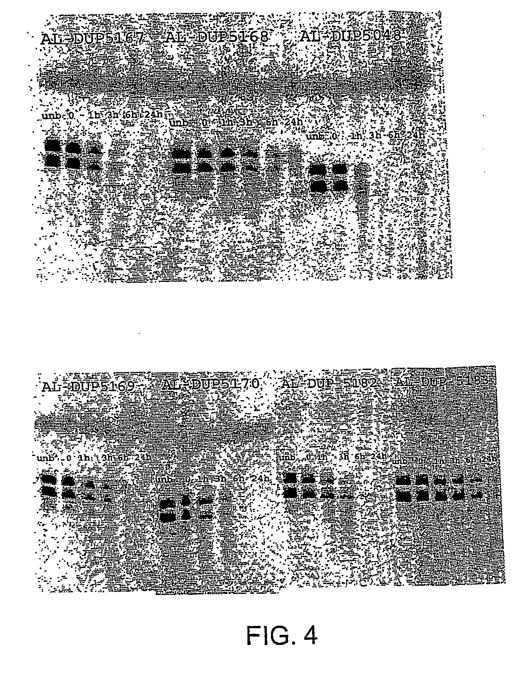 rnai modulation of apob and uses thereof