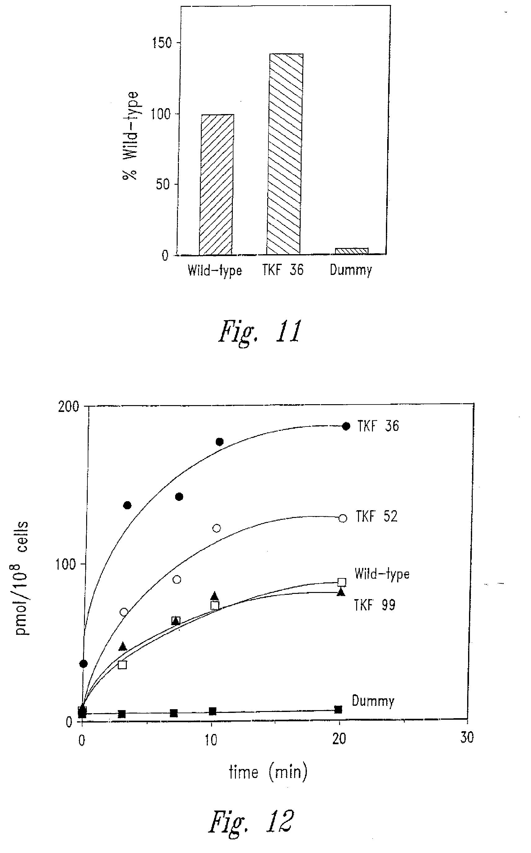 thymidine kinase mutants and fusion proteins having thymidine