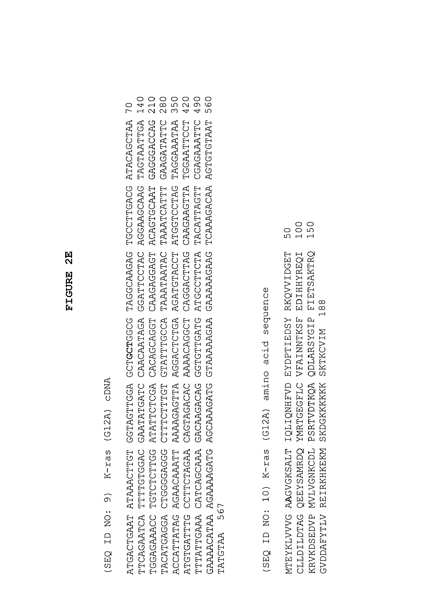专利ep2412828a1 - k-ras and b-raf mutations and anti-egfr