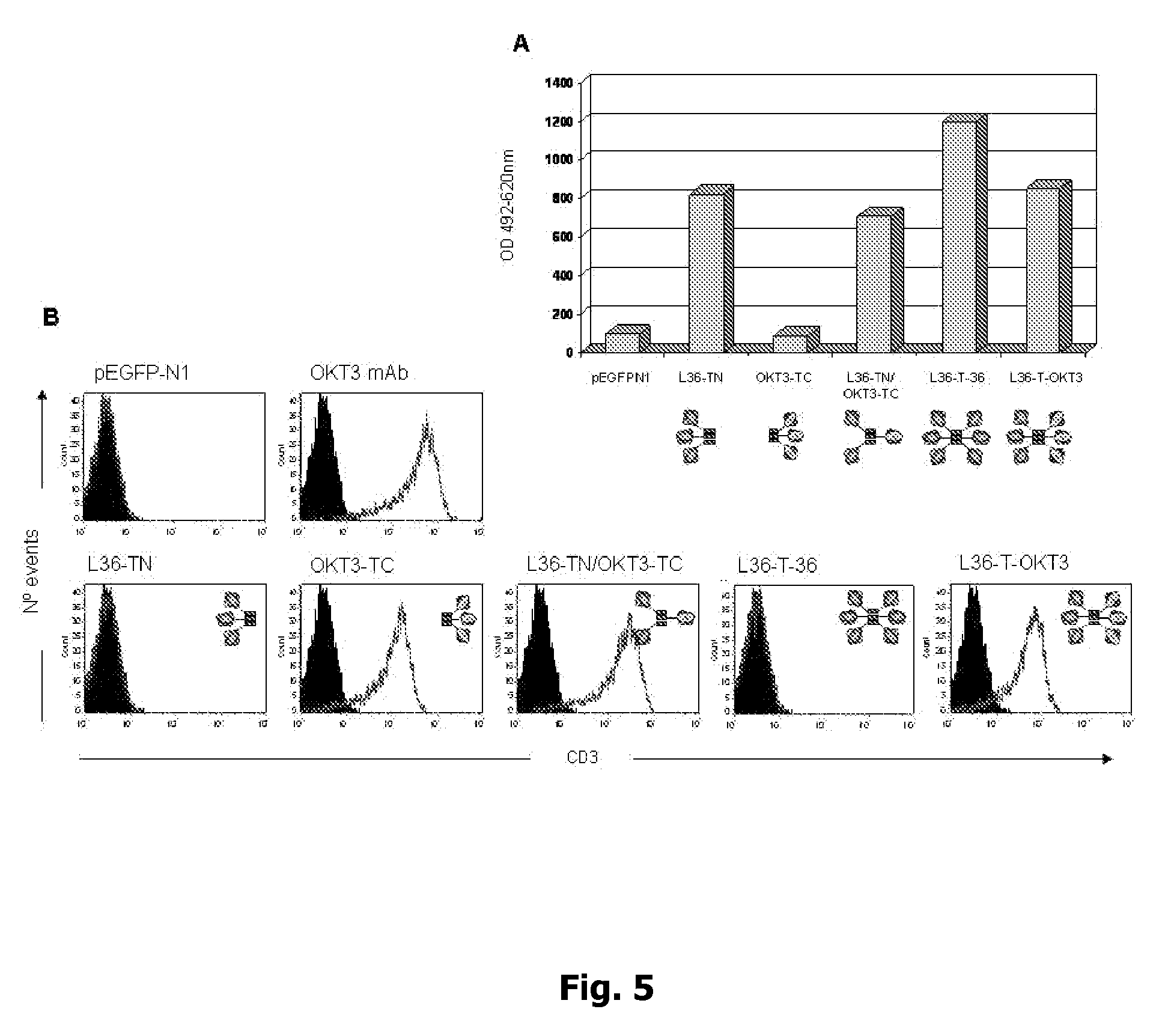 generation of multifunctional and multivalent polypeptide