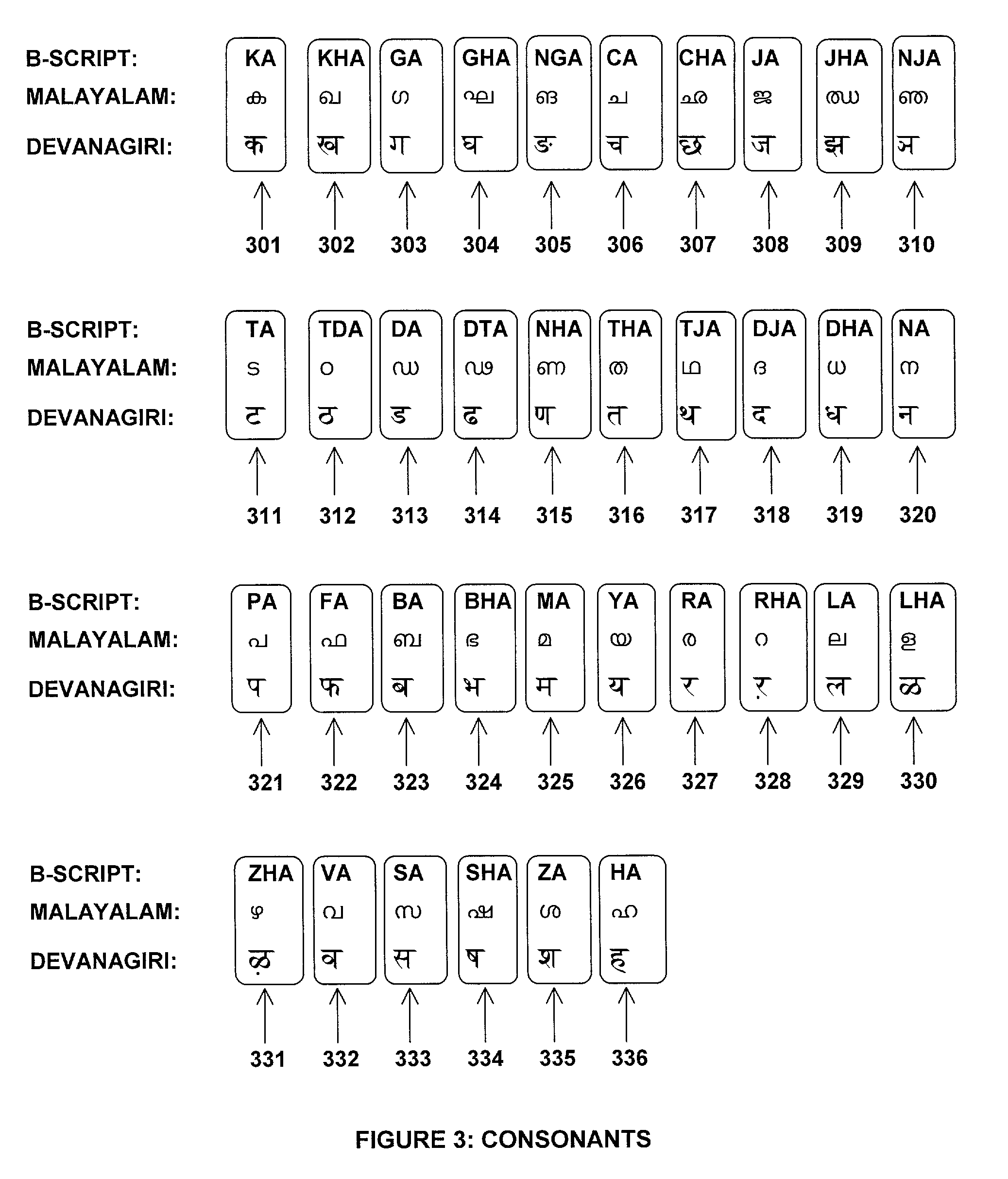 Dev 501 essay examination