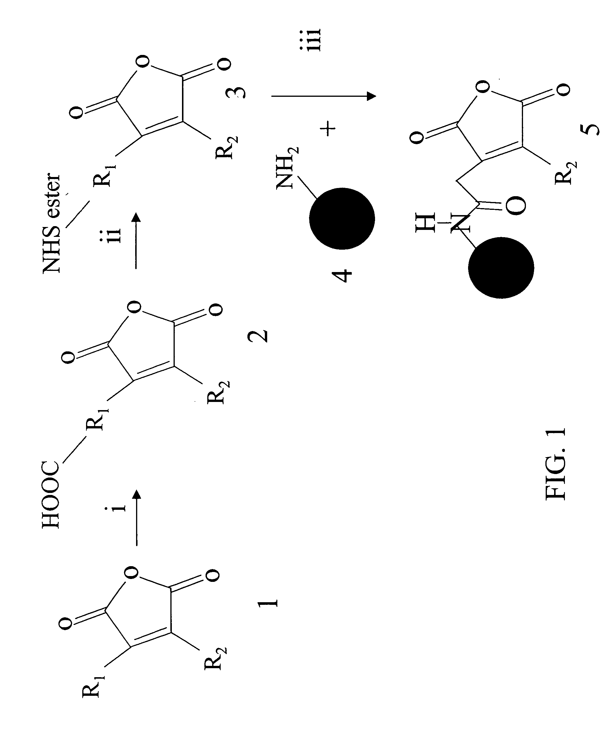 assignment 3 biomolecs Many assignments as possible and then use a double-labeling scheme to select this work was supported by the center for biomolec. assignment 3 biomolecs Many assignments as possible and then use a double-labeling scheme to select this work was supported by the center for biomolec.