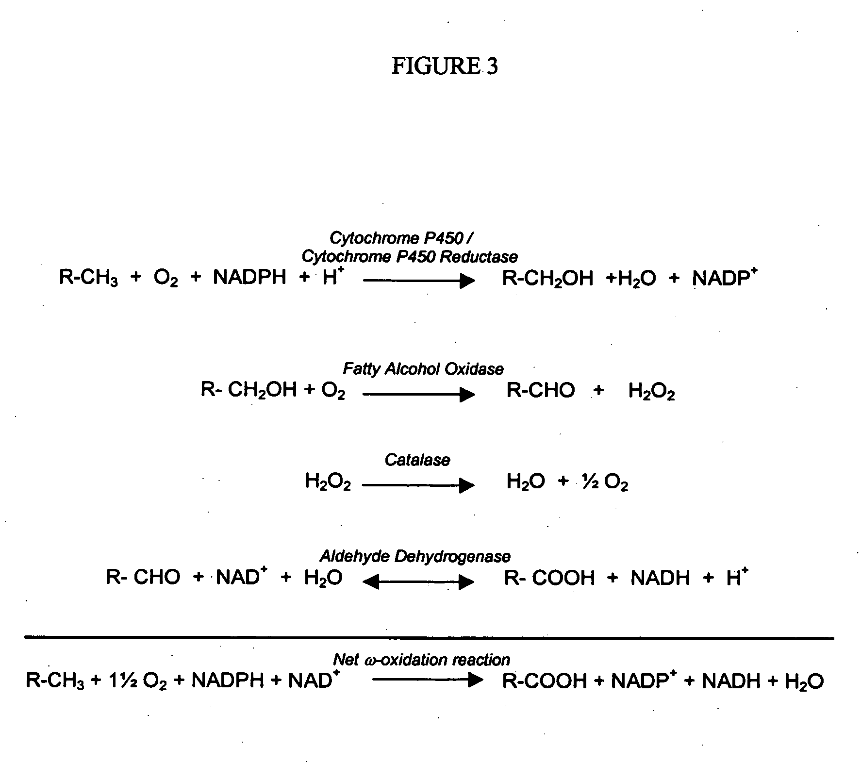 Patent Us20050084940 Method For Controlling Biooxidation Patent Drawing