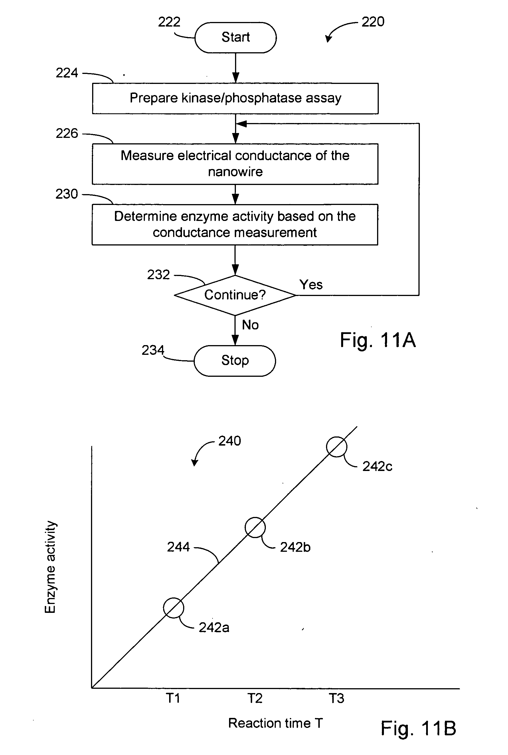enzyme assay enzyme assay