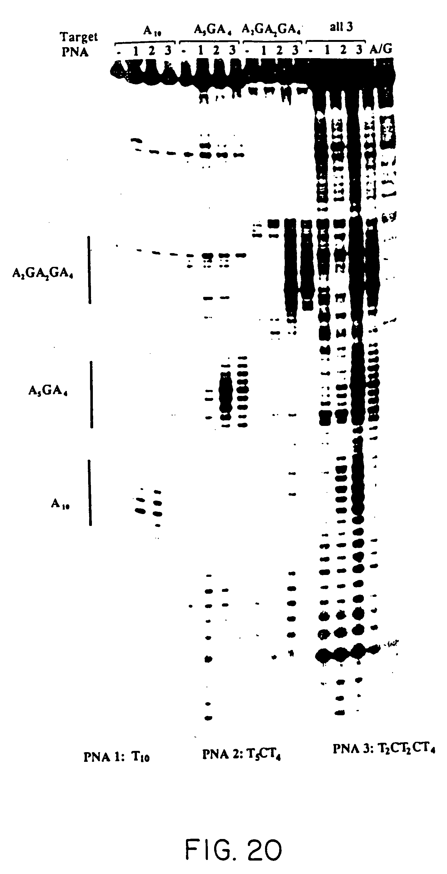 Voorbeeld thesis kuleuven psychologie image 1
