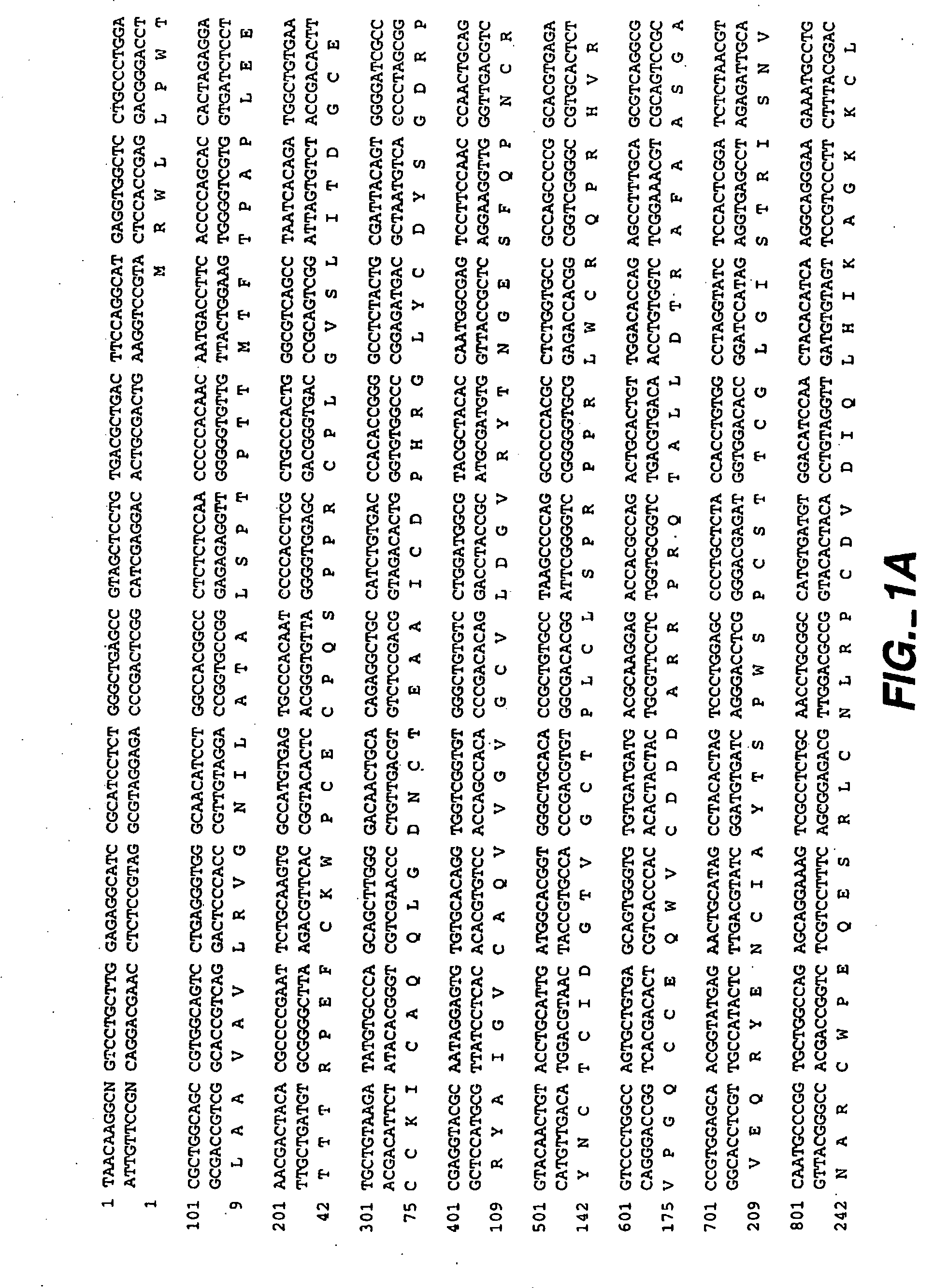 patent us20070041964 wisp polypeptides and nucleic acids patent us20070041964 wisp polypeptides and nucleic acids