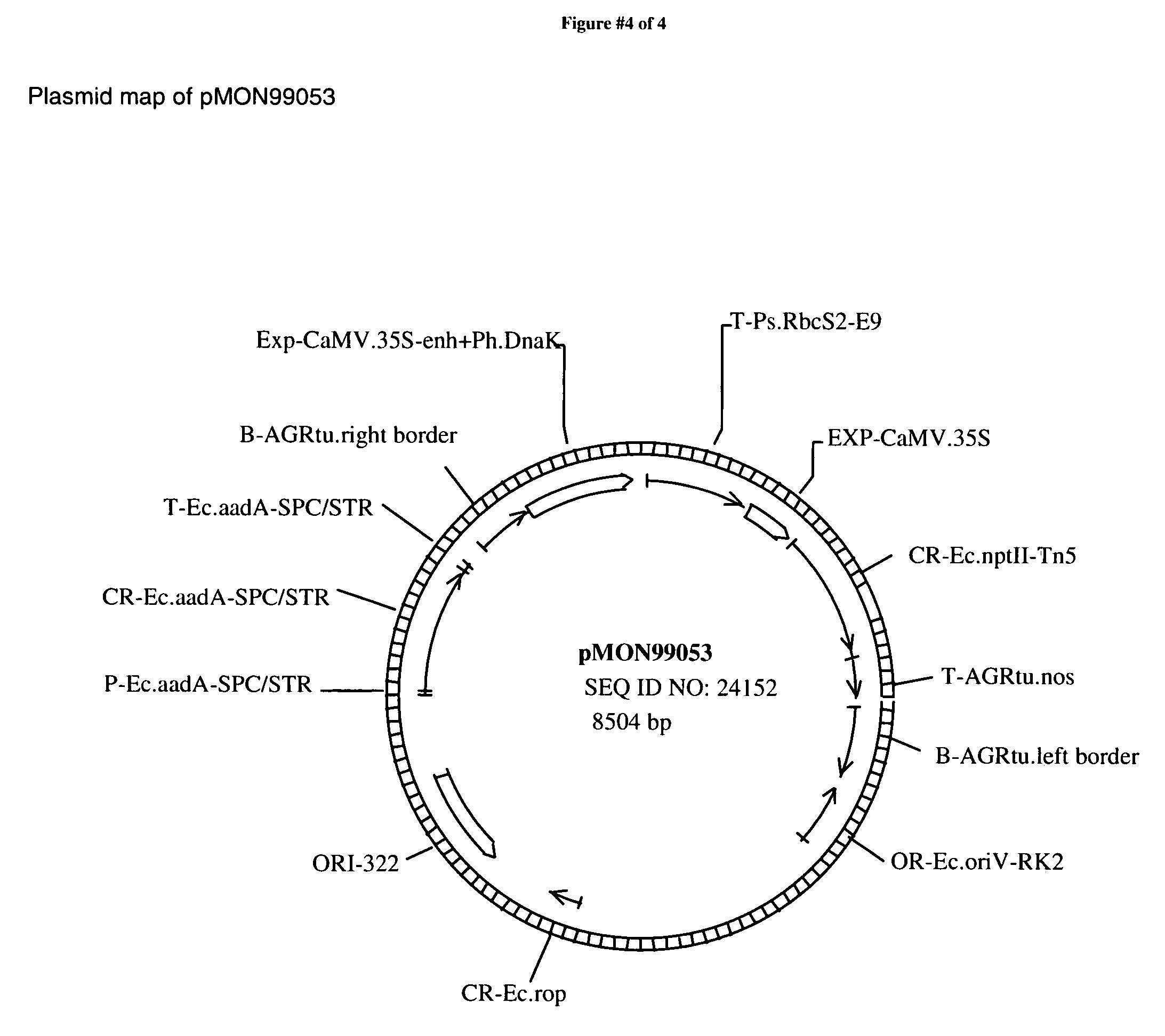 transgenic plants for enhanced biodegradation and Biodegradation of atrazine in transgenic plants expressing a modified bacterial atrazine chlorohydrolase (atza) gene lin wang biotechnology institute, university of minnesota, st paul, mn 55108, usa sarah jamil and nandita singh, transgenic plants for enhanced biodegradation and phytoremediation of organic xenobiotics, biotechnology. transgenic plants for enhanced biodegradation and Biodegradation of atrazine in transgenic plants expressing a modified bacterial atrazine chlorohydrolase (atza) gene lin wang biotechnology institute, university of minnesota, st paul, mn 55108, usa sarah jamil and nandita singh, transgenic plants for enhanced biodegradation and phytoremediation of organic xenobiotics, biotechnology.