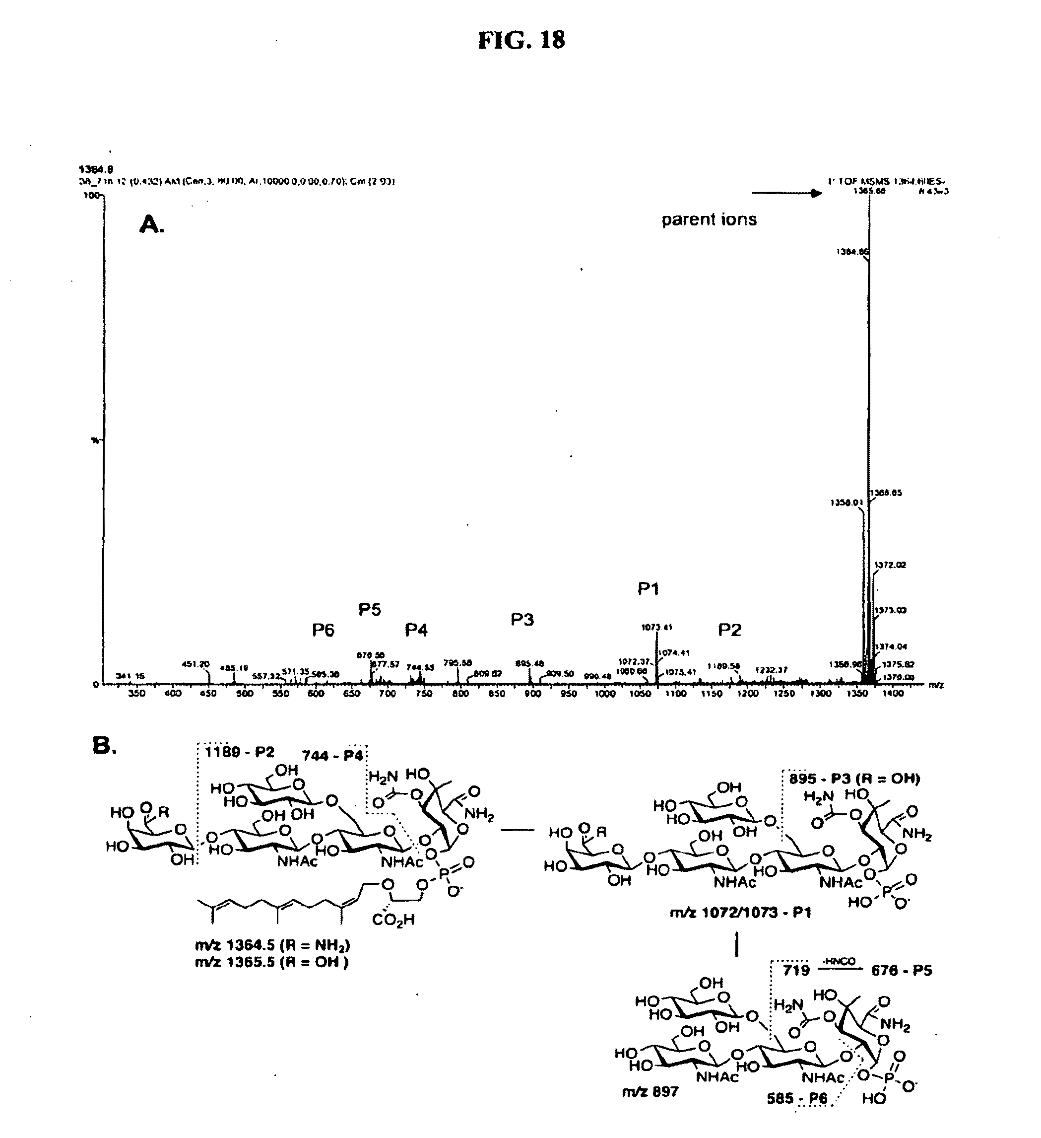 isolation and characterisation of svmp inhibitor Isolation and characterization of a trypsin inhibitor of alfalfa k-rex repository search k-rex isolation and characterization of a trypsin inhibitor of alfalfa. isolation and characterisation of svmp inhibitor Isolation and characterization of a trypsin inhibitor of alfalfa k-rex repository search k-rex isolation and characterization of a trypsin inhibitor of alfalfa.