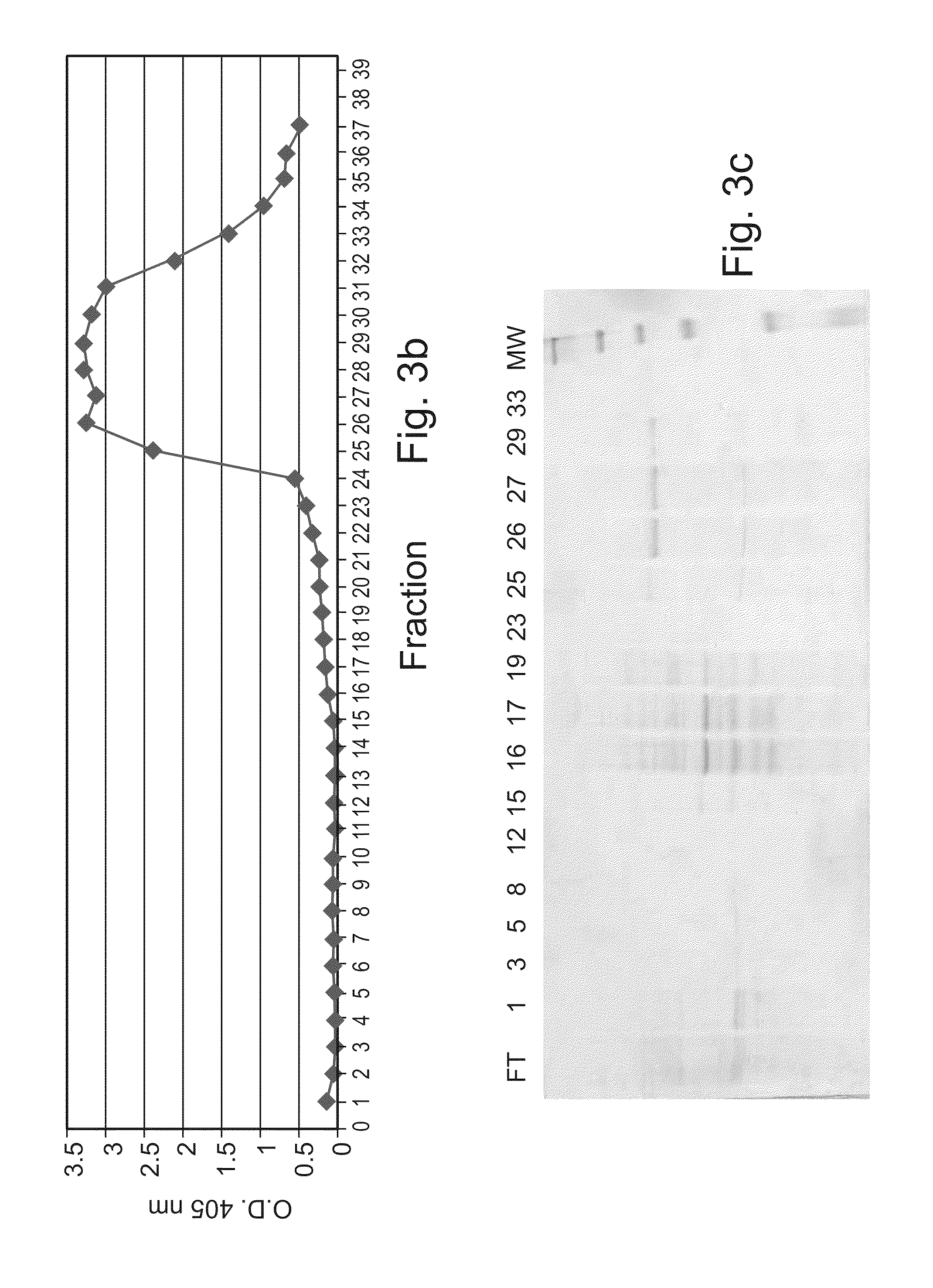 Patent US20110182868 - Human lysosomal proteins from plant cell culture