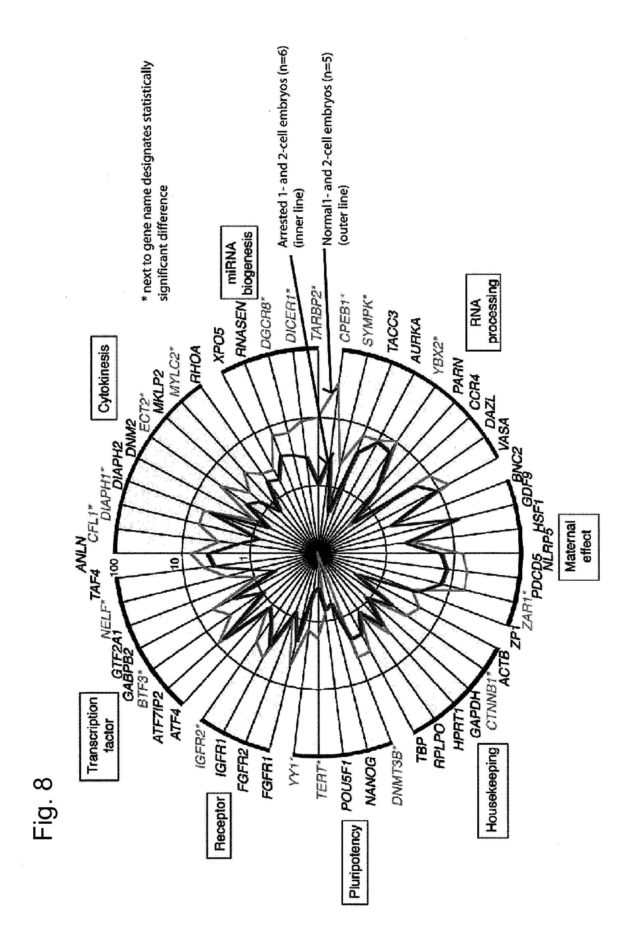Embryo Embyro Embryo Embyro