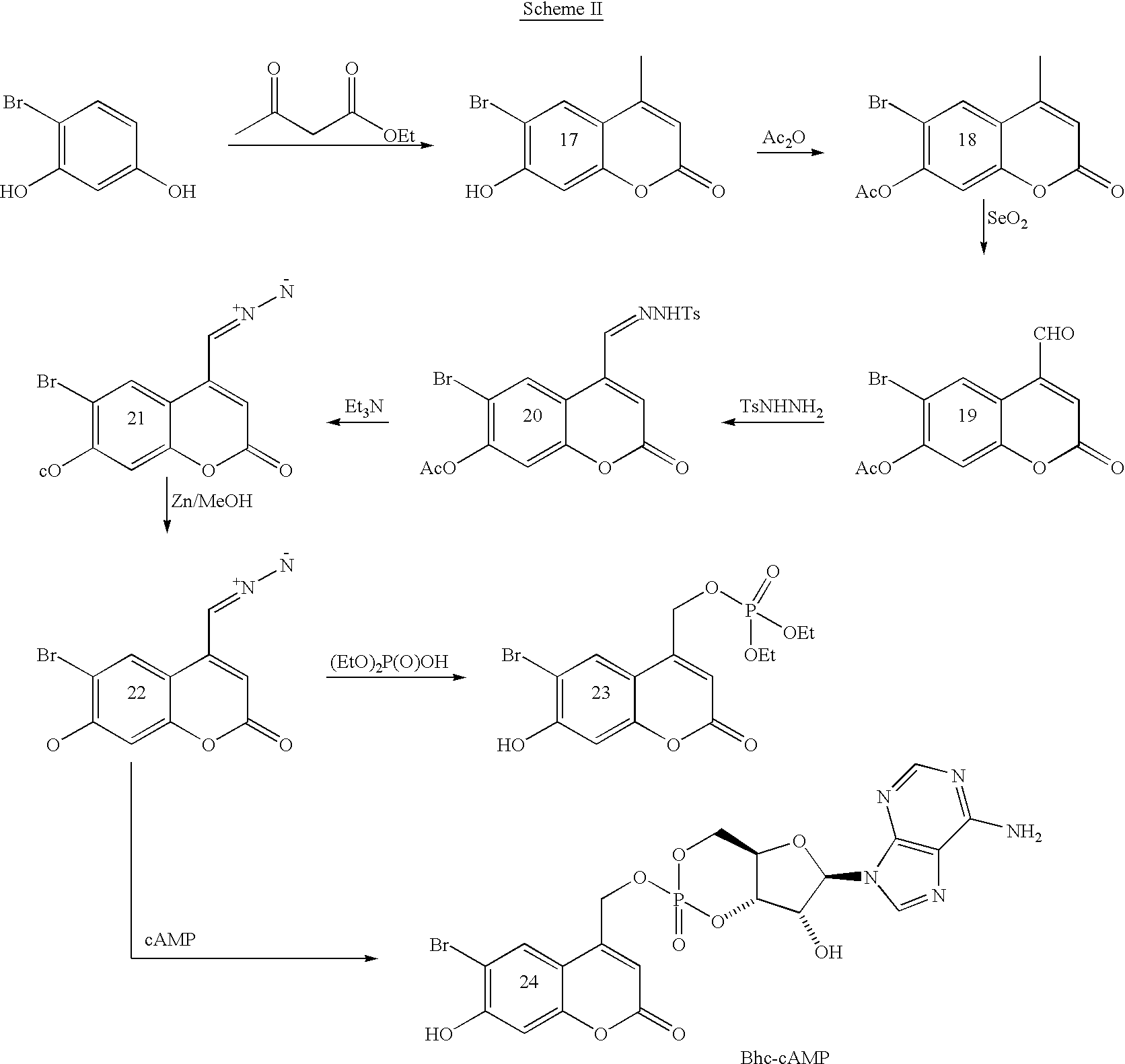 synthesise edta On the development of chelation therapies success led to synthesis of other about 1933 began studies leading to later synthesis of edta in the. synthesise edta On the development of chelation therapies success led to synthesis of other about 1933 began studies leading to later synthesis of edta in the.