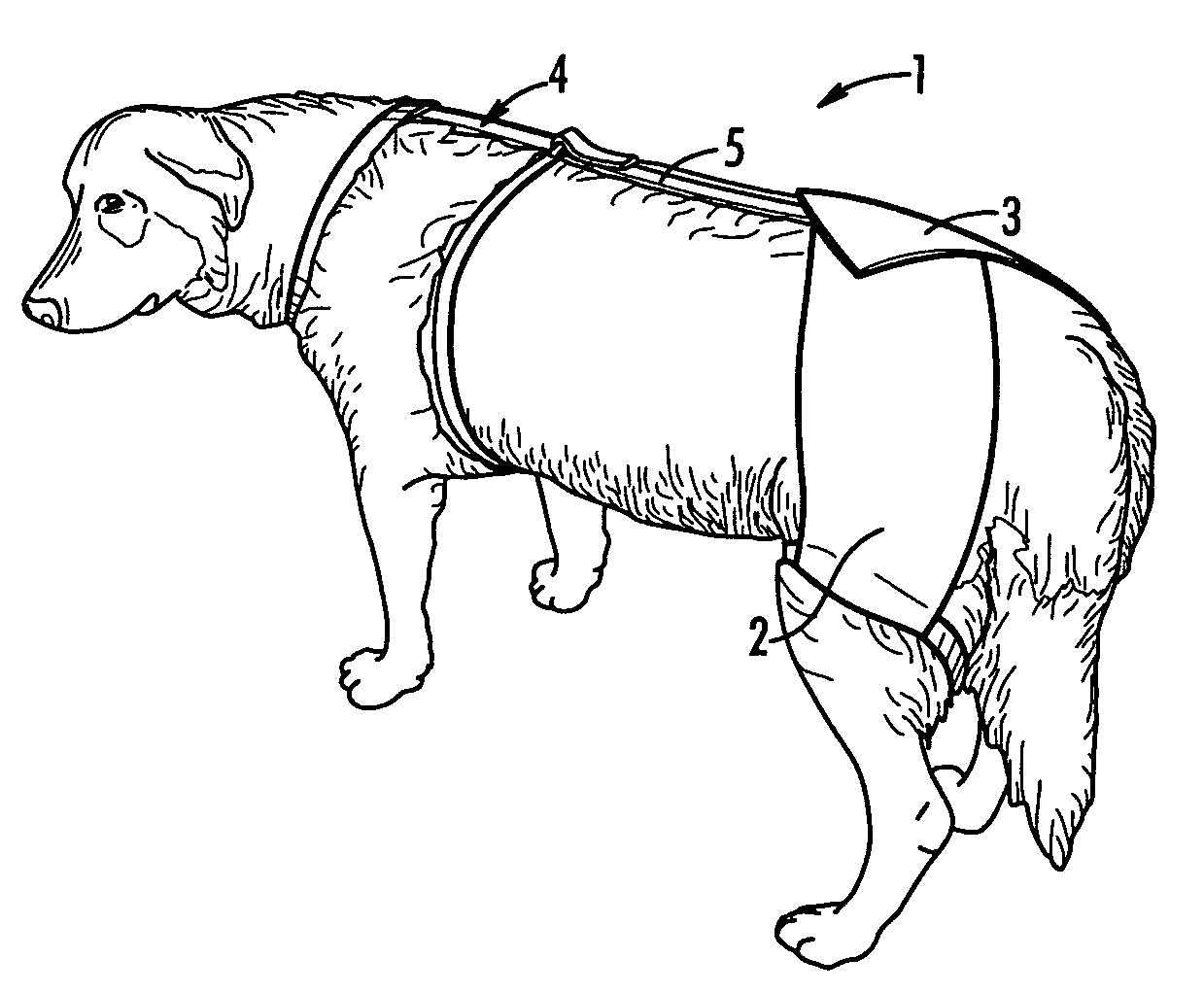 Patent Us6880489