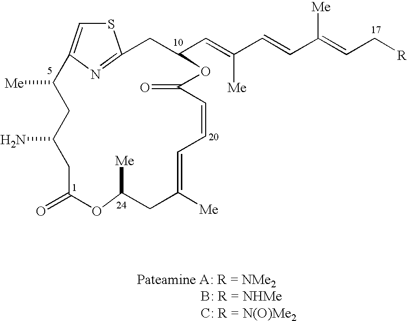 thesis on thiazole thesis on thiazole
