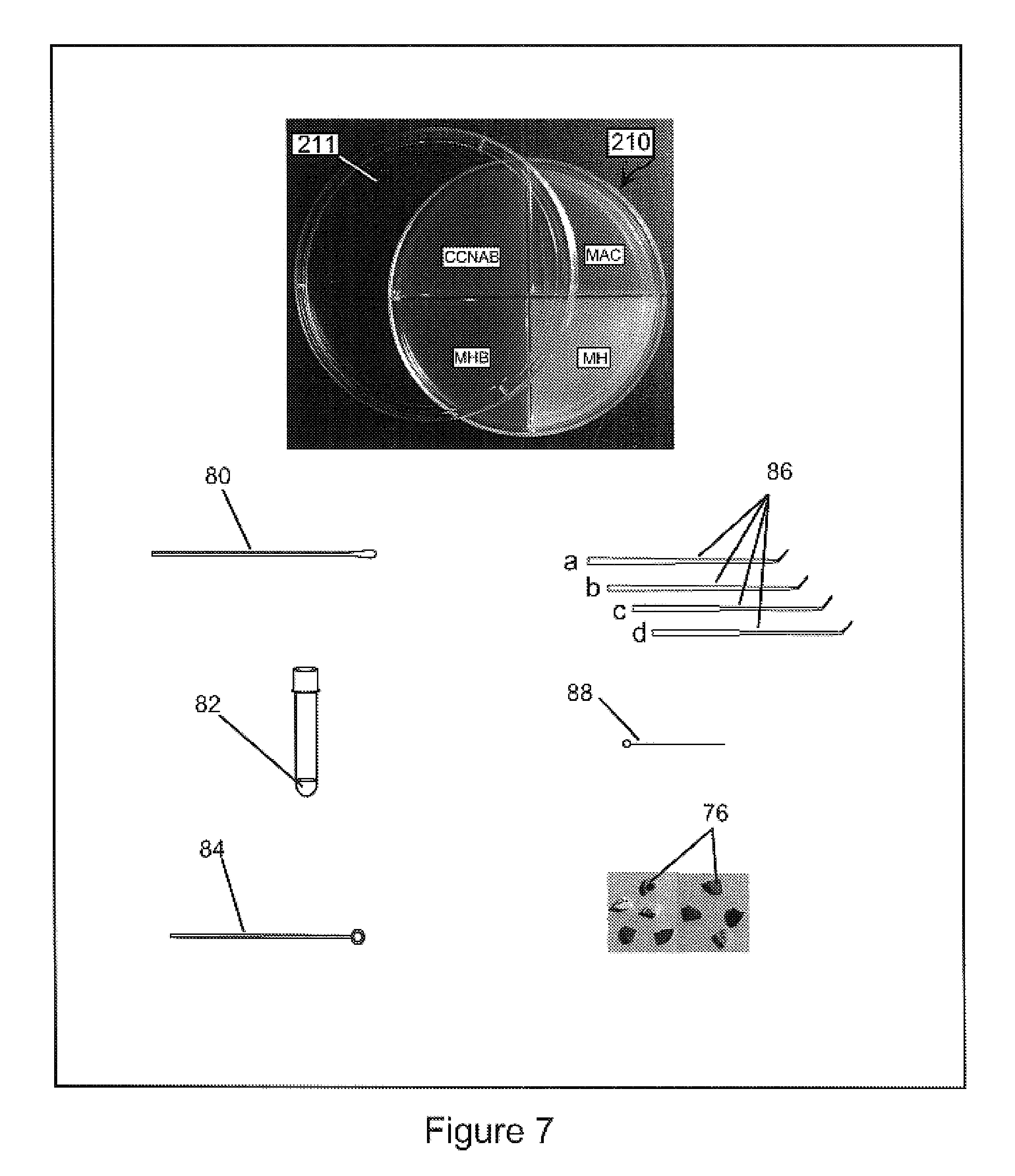 Patent Us3071929 Mechanicohydraulic Power And Control Unit Google