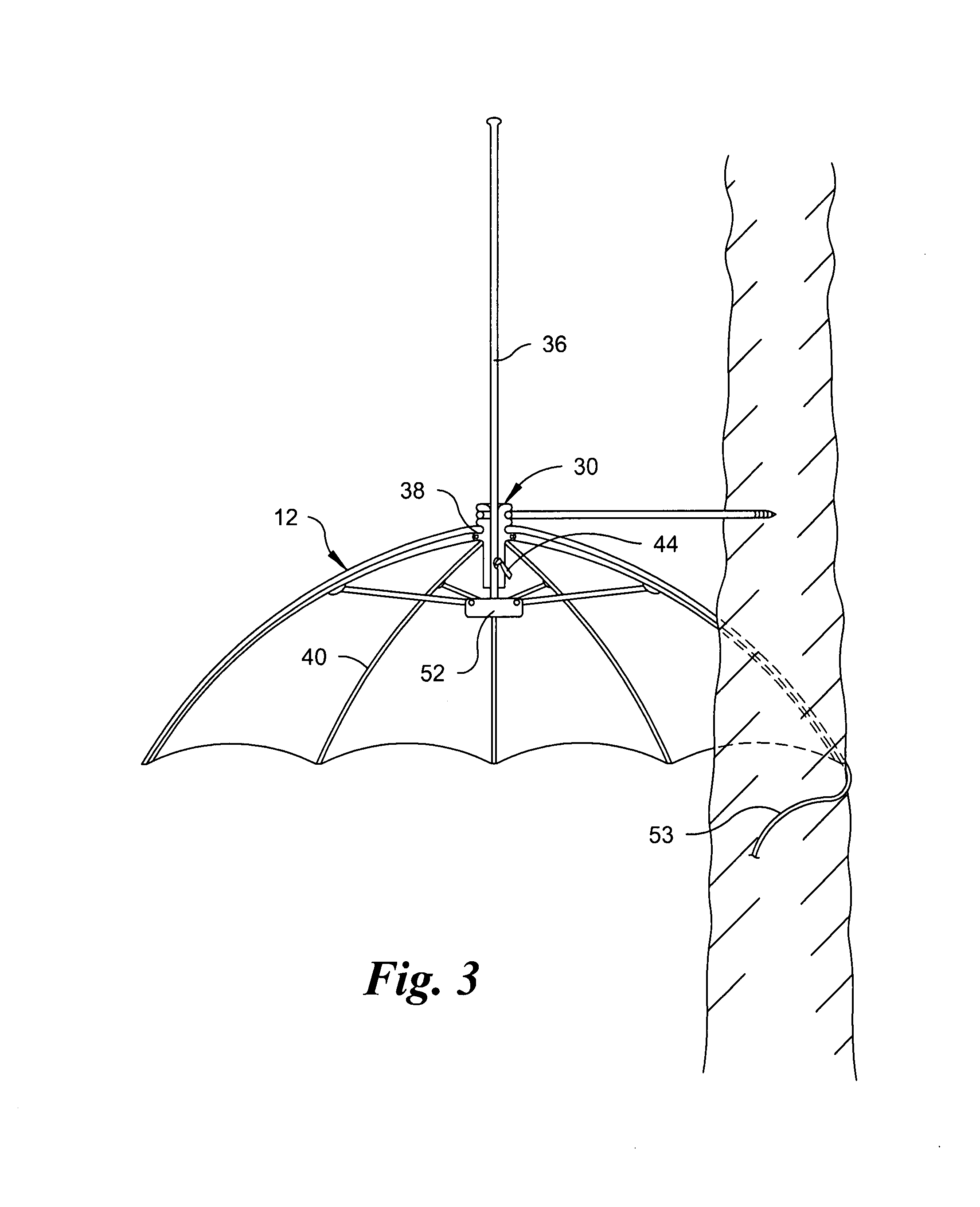 Patent US7264011 Tree mounted umbrella assembly and method of