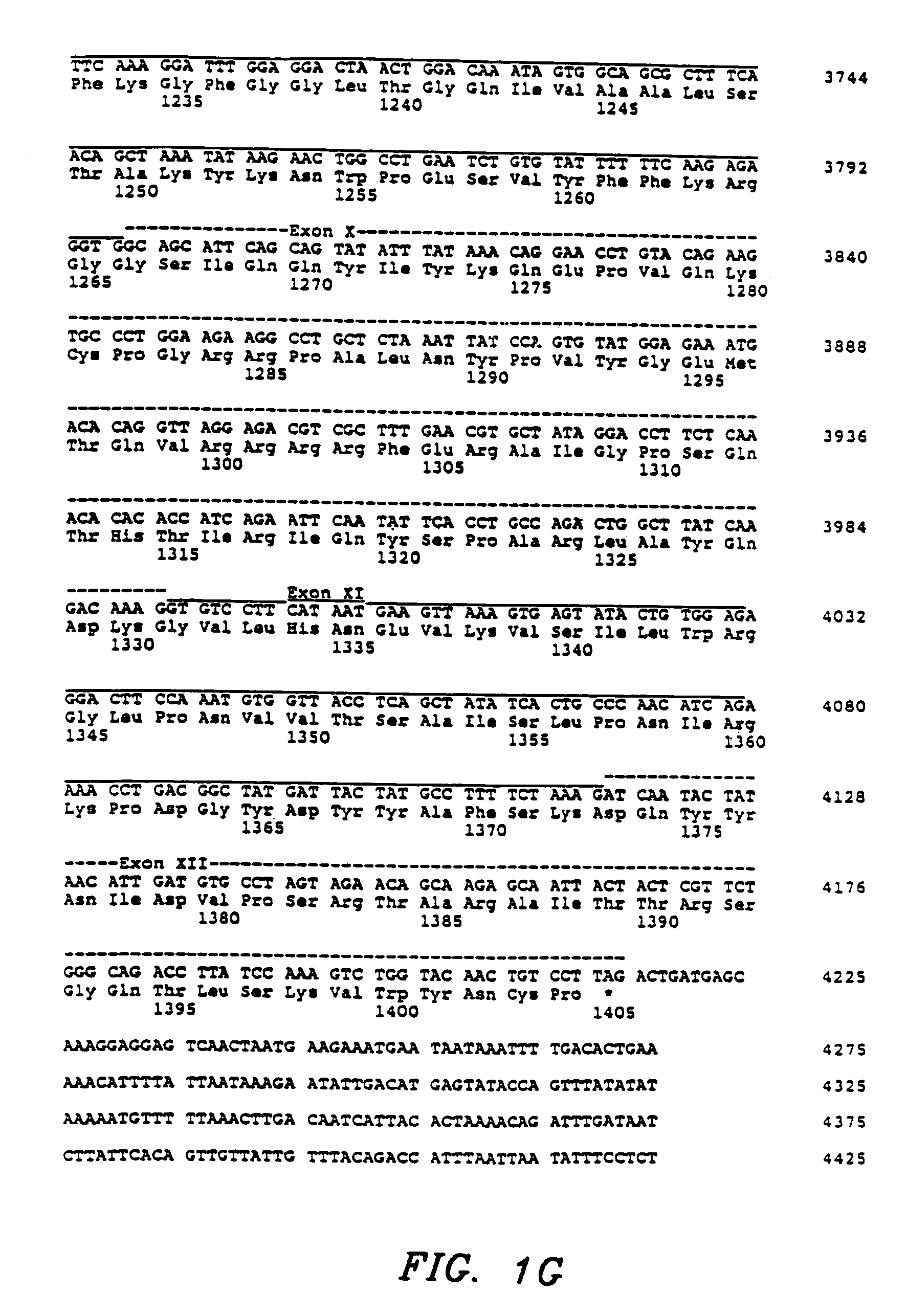 Pat Thomas 4 Compositions For Orchestra Pat Thomas 4 Compositions For Orchestra