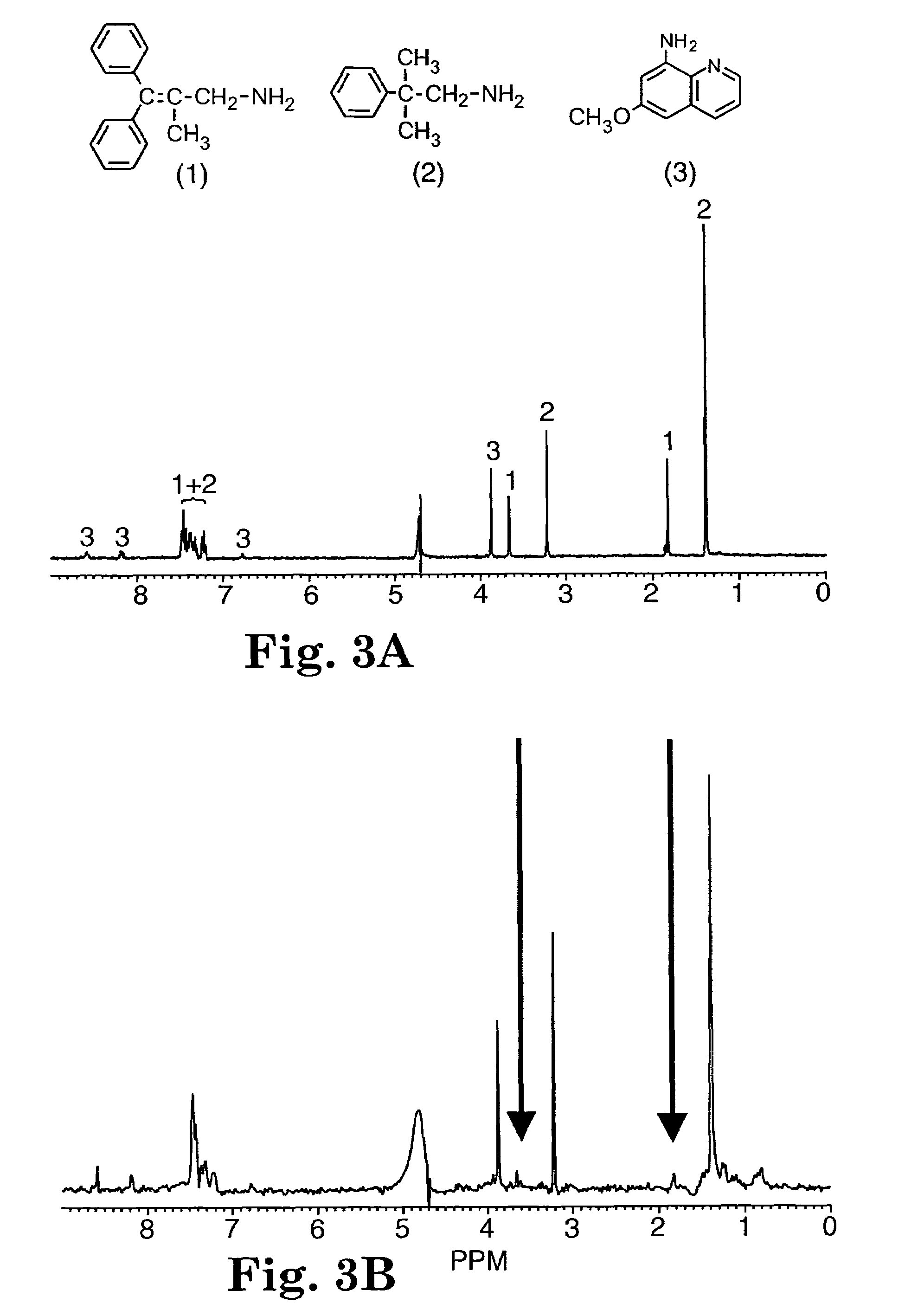a molecular method for identifying calicophoron Three bovine amphistomes, calicophoron calicophorum, orthocoelium streptocoelium and homalogaster paloniae, are spacer (its2) of ribosomal dna has been shown to be a method for the species identification in single eggs from the. a molecular method for identifying calicophoron Three bovine amphistomes, calicophoron calicophorum, orthocoelium streptocoelium and homalogaster paloniae, are spacer (its2) of ribosomal dna has been shown to be a method for the species identification in single eggs from the.