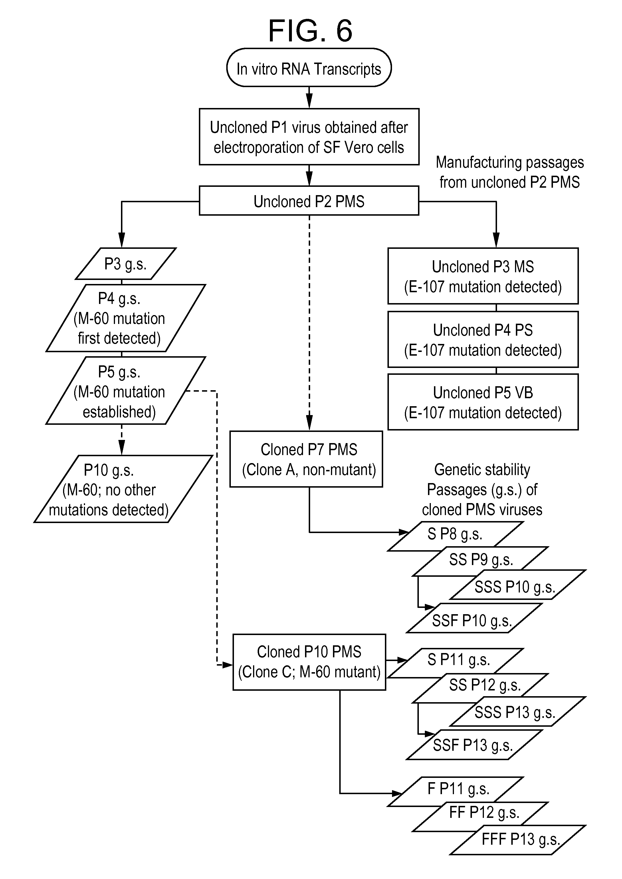 Patent US8029802 Vaccines against Japanese encephalitis