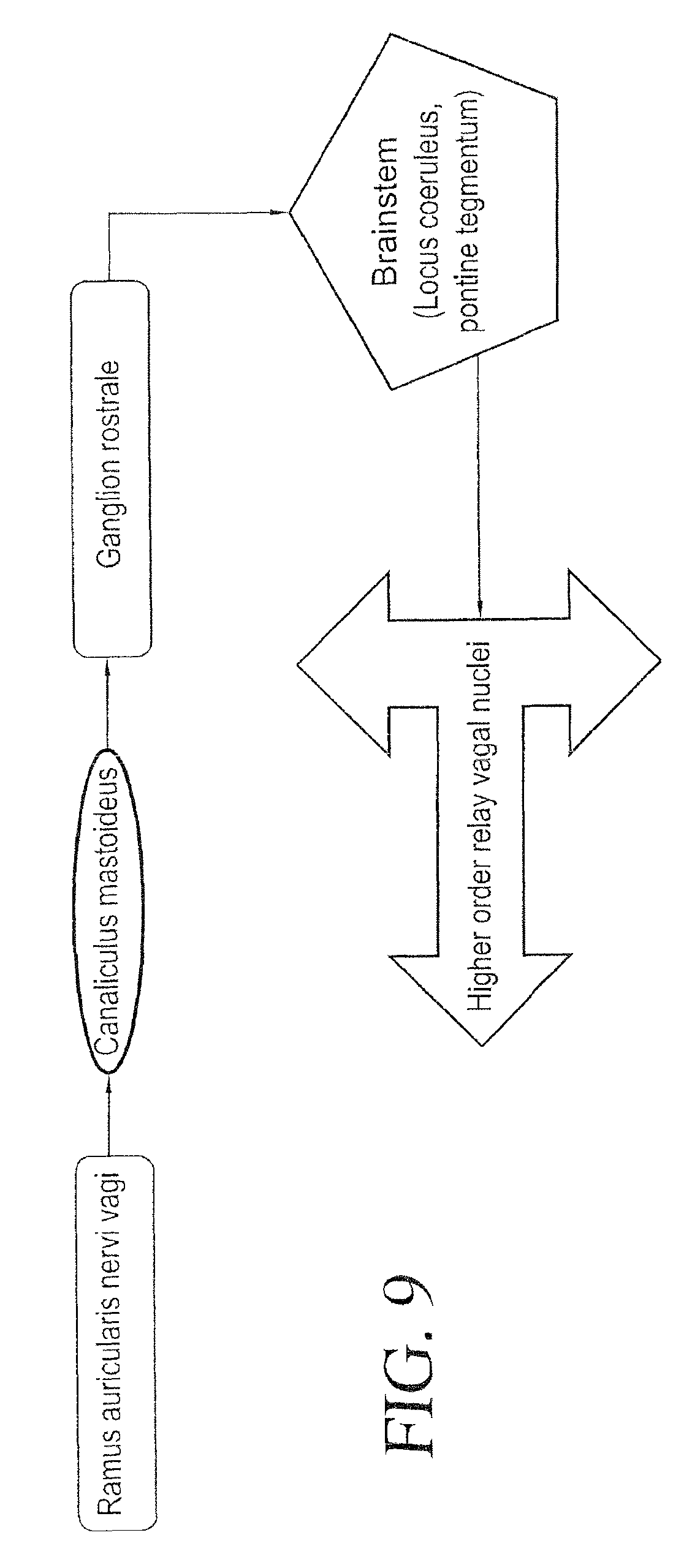 neural tissue Neuroglia are nervous tissue cells that do not conduct nerve impulses like neurons, but provide a support function for nervous system components. neural tissue Neuroglia are nervous tissue cells that do not conduct nerve impulses like neurons, but provide a support function for nervous system components.