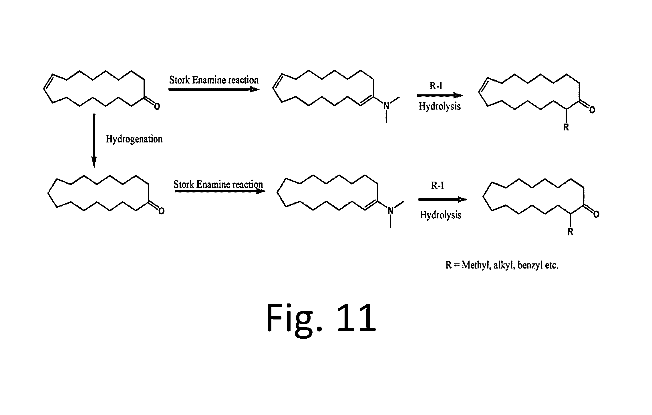 Metathesis reactions of fatty acid esters