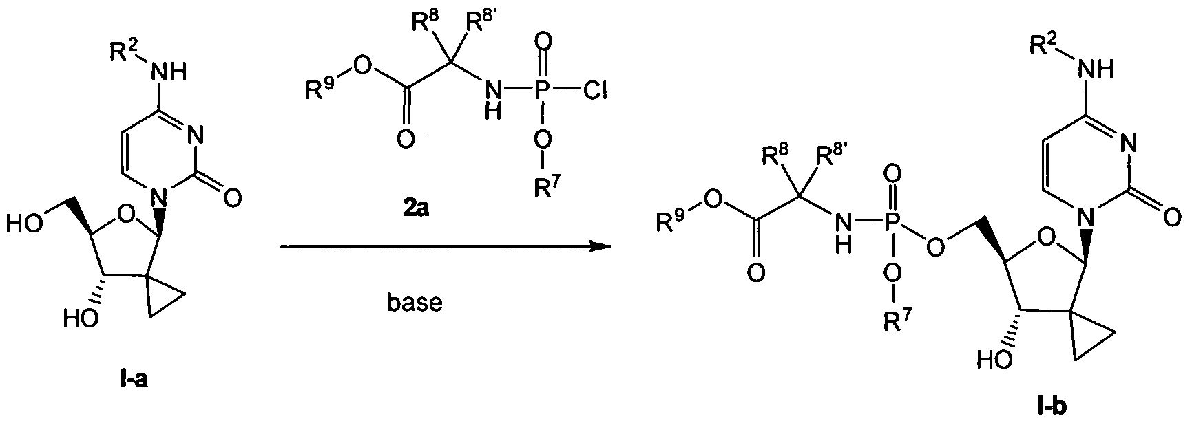 Genes synthesis cluster essay