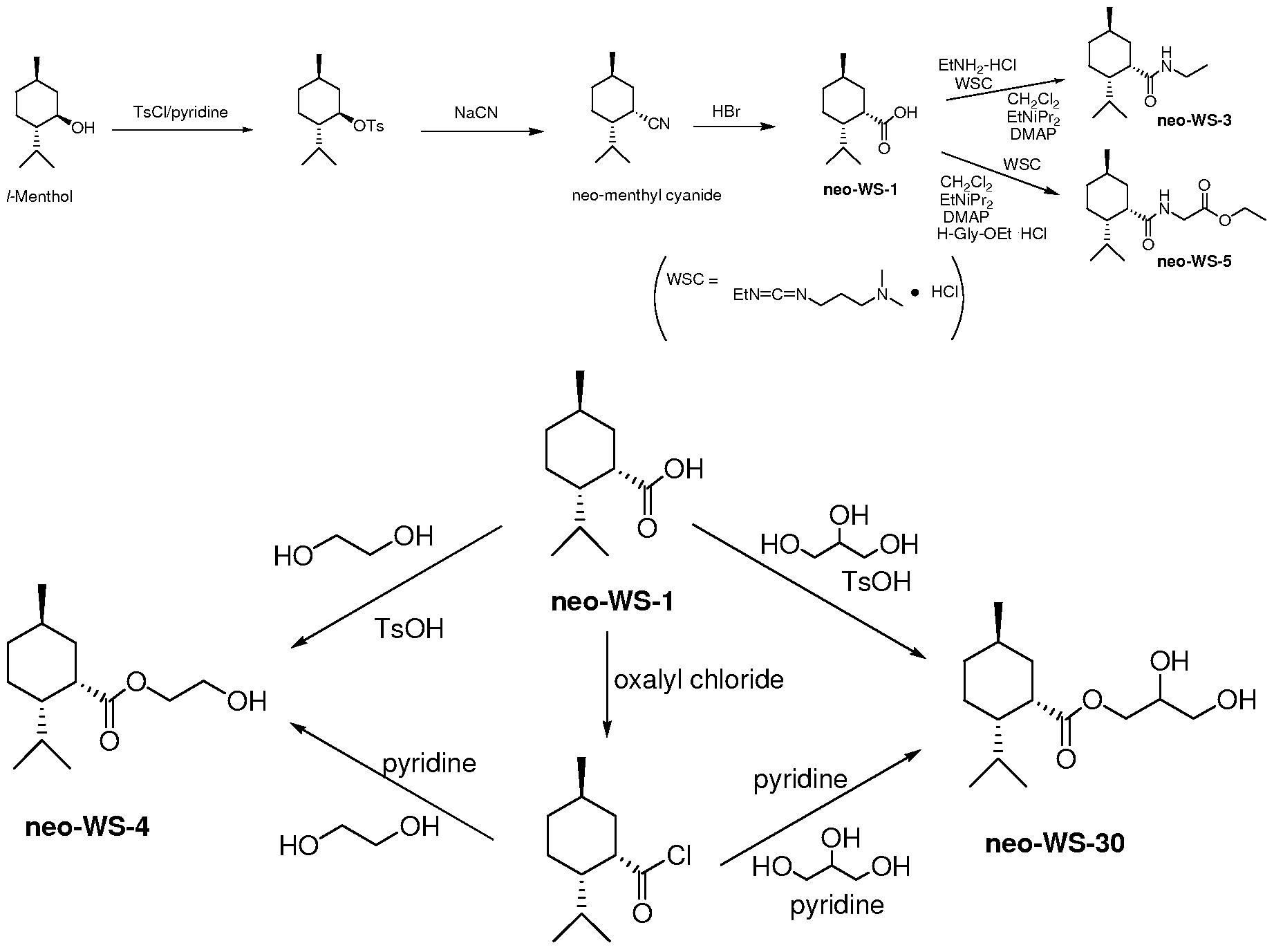 benzocaine synthesis mechanism benzocaine synthesis mechanism