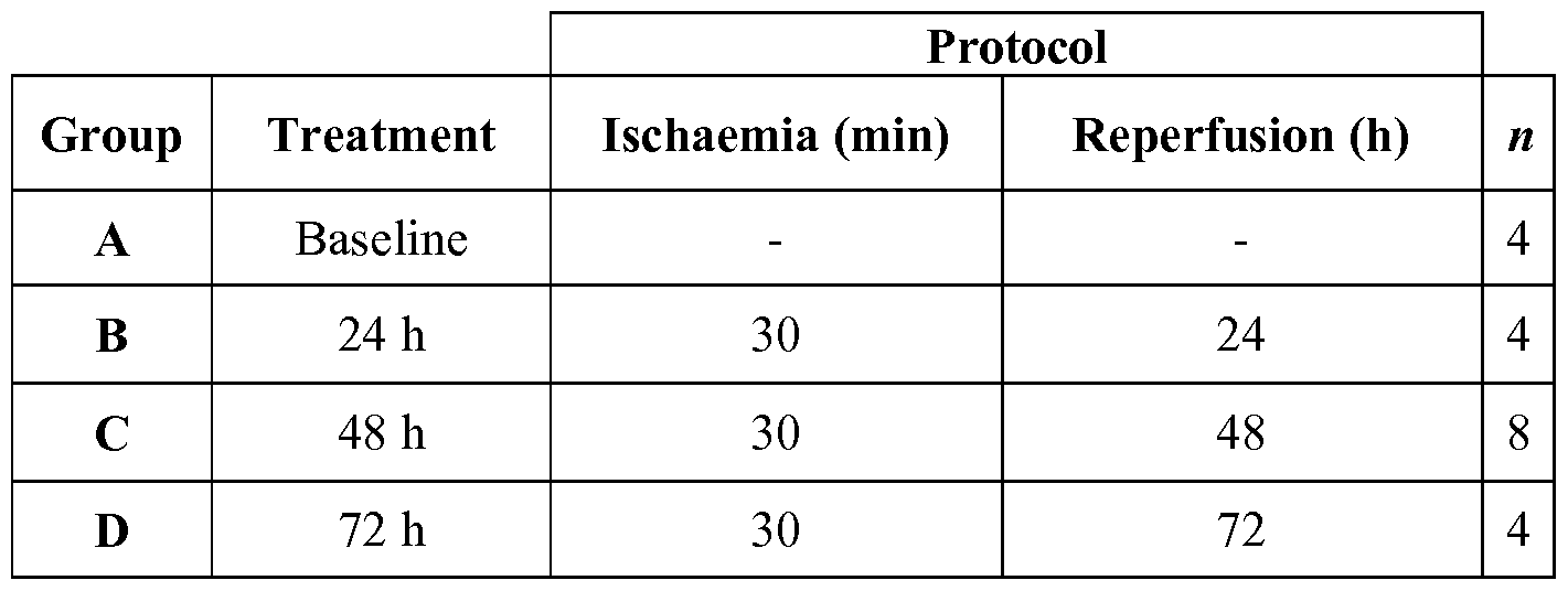 difference between relative dating and absolute dating of fossils difference between relative dating and absolute dating of fossils