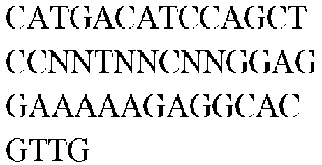 Figure imgb0339