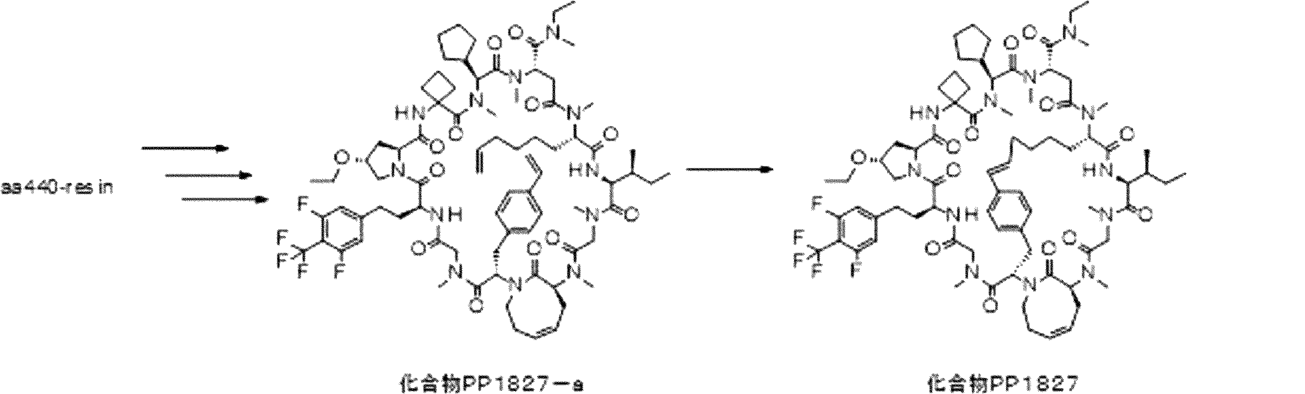 Figure JPOXMLDOC01-appb-I000417