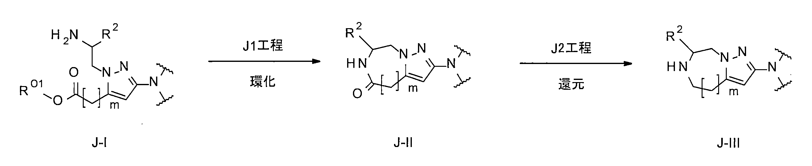 Figure JPOXMLDOC01-appb-C000037
