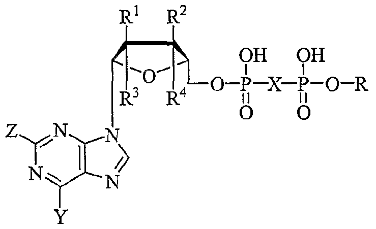Figure imgf000134_0001