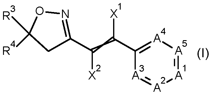 Figure imgf000002_0001