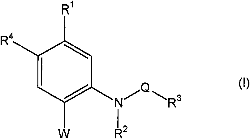 Figure imgf000003_0001