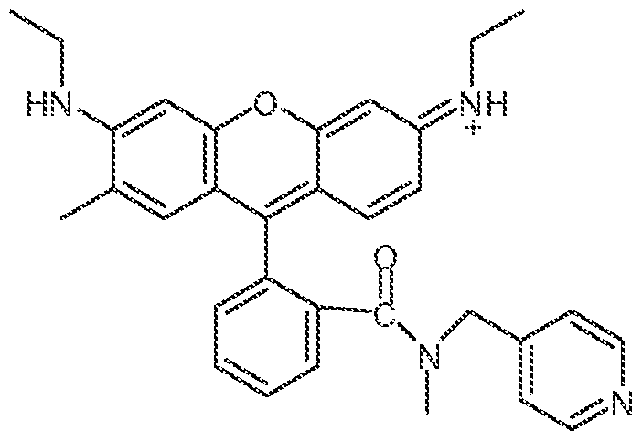 Figure imgf000059_0002