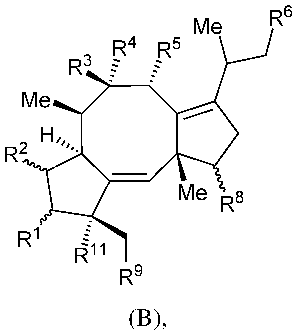 Figure imgf000039_0002