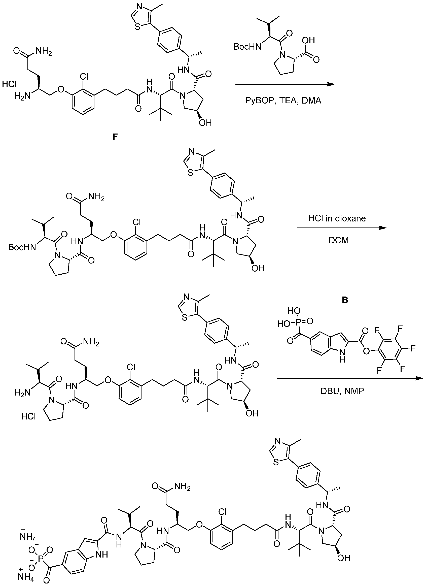 Figure imgf000391_0001