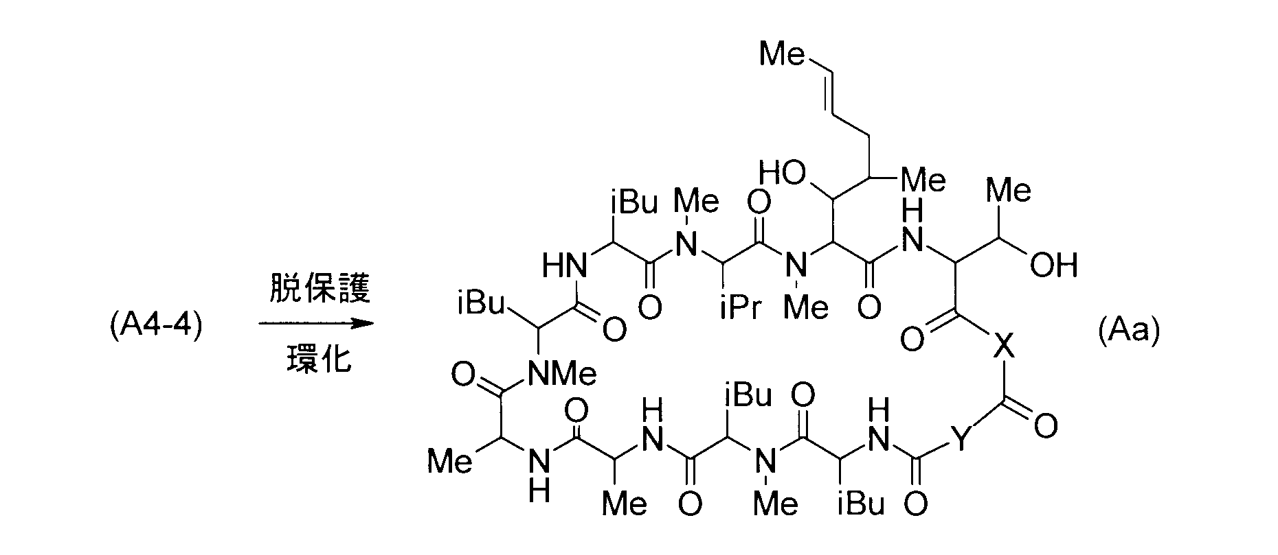 Figure JPOXMLDOC01-appb-C000018