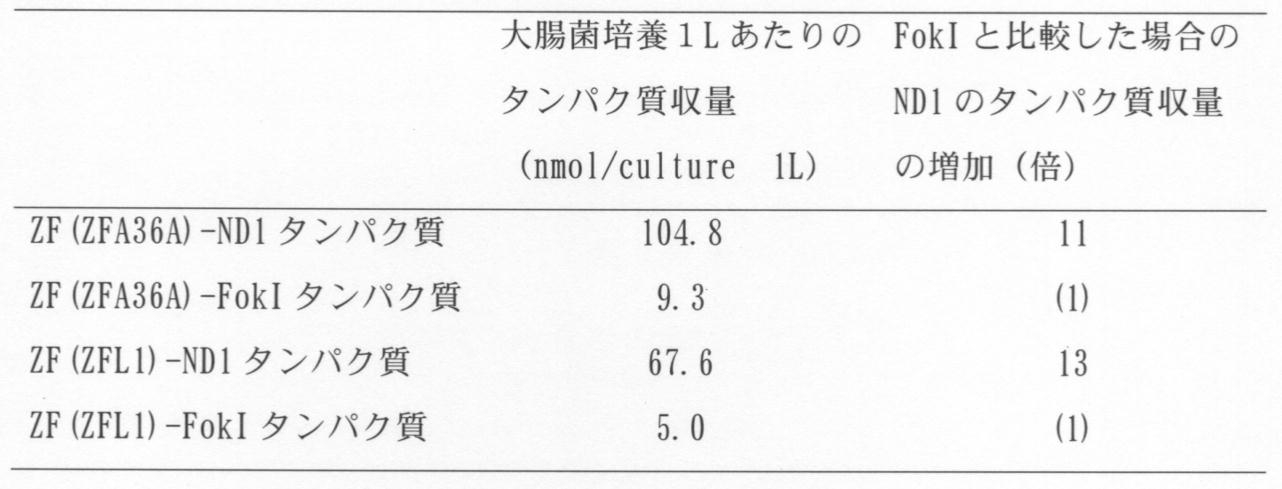 Figure JPOXMLDOC01-appb-T000005