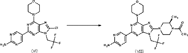 Figure JPOXMLDOC01-appb-C000025