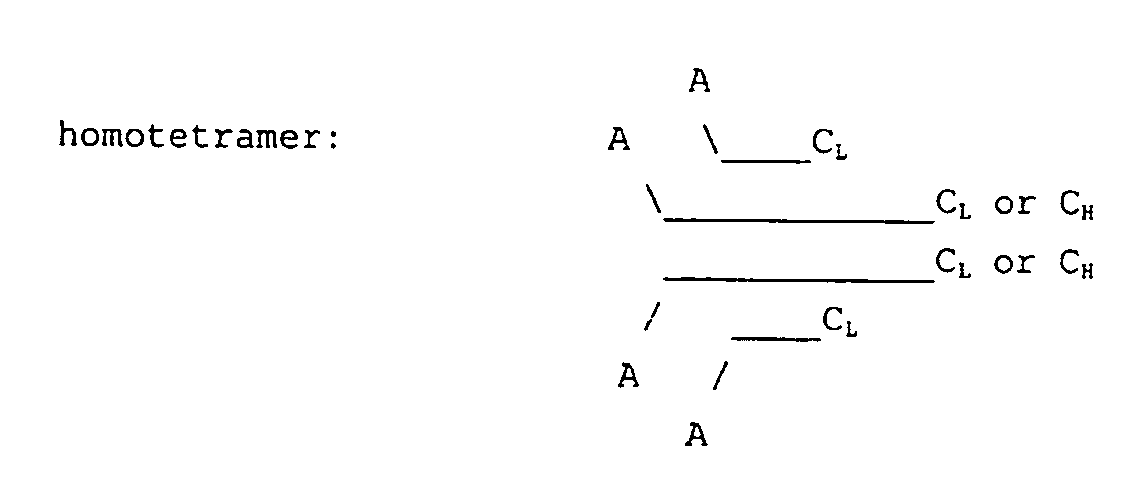 Figure imgb0011