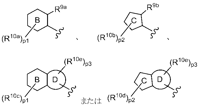 Figure JPOXMLDOC01-appb-C000017