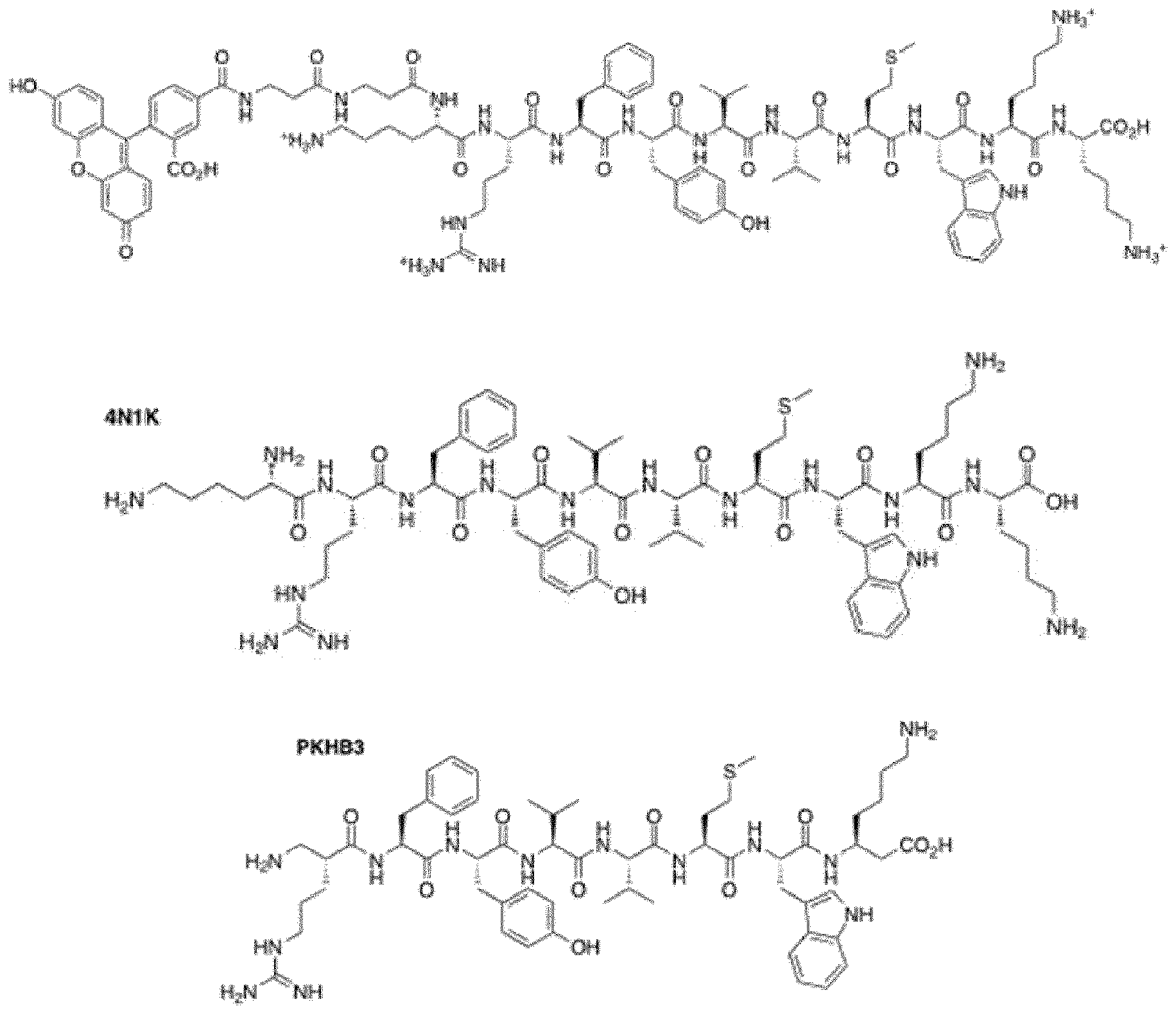 Figure imgf000065_0001