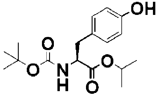 Figure imgb0205