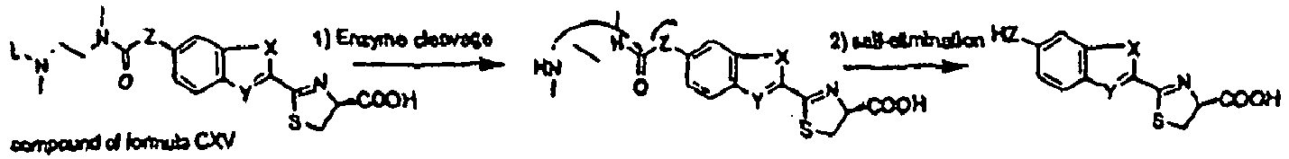 Figure imgb0048