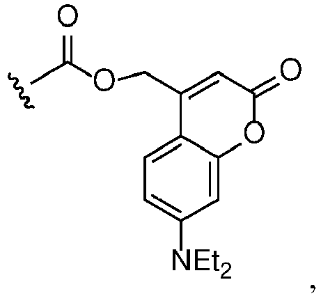 Figure imgb0002